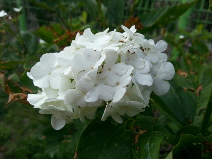 영월노인전문요양원