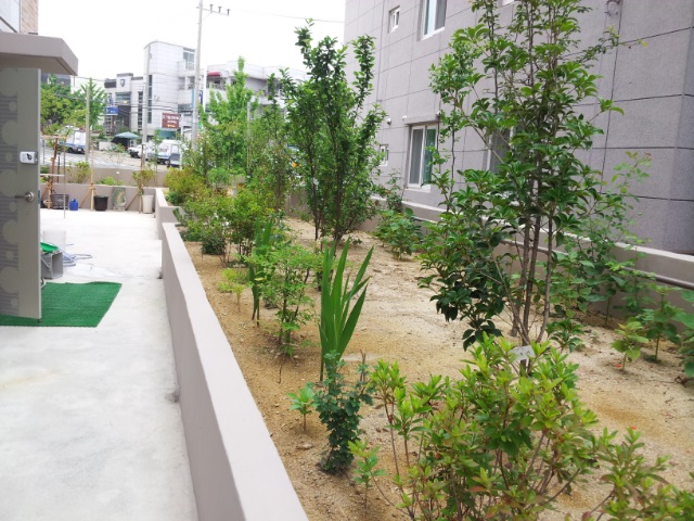 백정애 건강실버타운 이미지 20