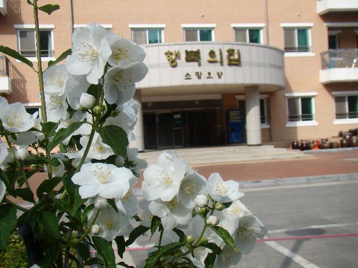 행복의집소망노인요양원 이미지 21