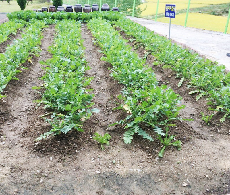 세진요양원 이미지 22