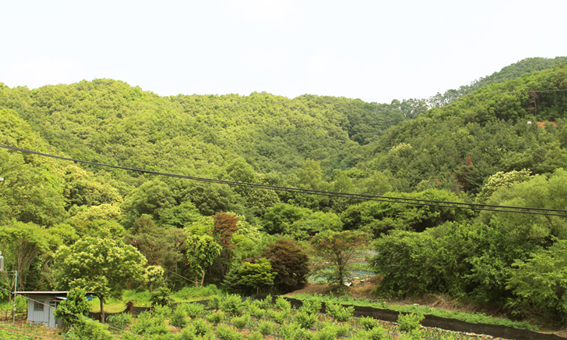 로뎀요양원 이미지 9