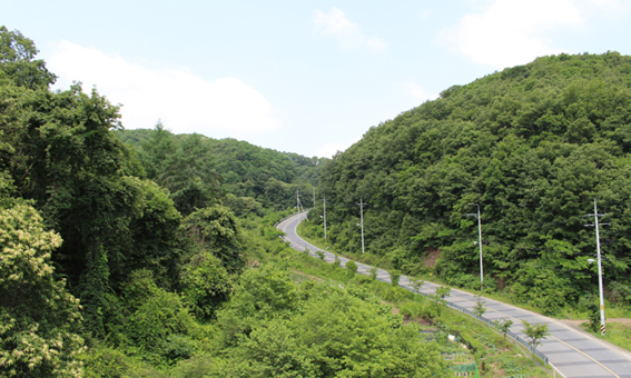 로뎀요양원 이미지 8