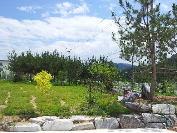 정혜요양원 이미지 7