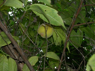 세검정실버홈 이미지 8