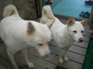 세검정실버홈 이미지 5