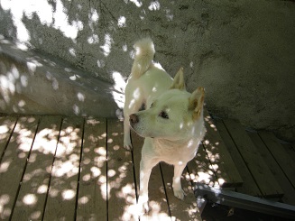 세검정실버홈 이미지 4