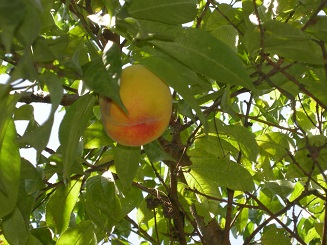 세검정실버홈 이미지 3