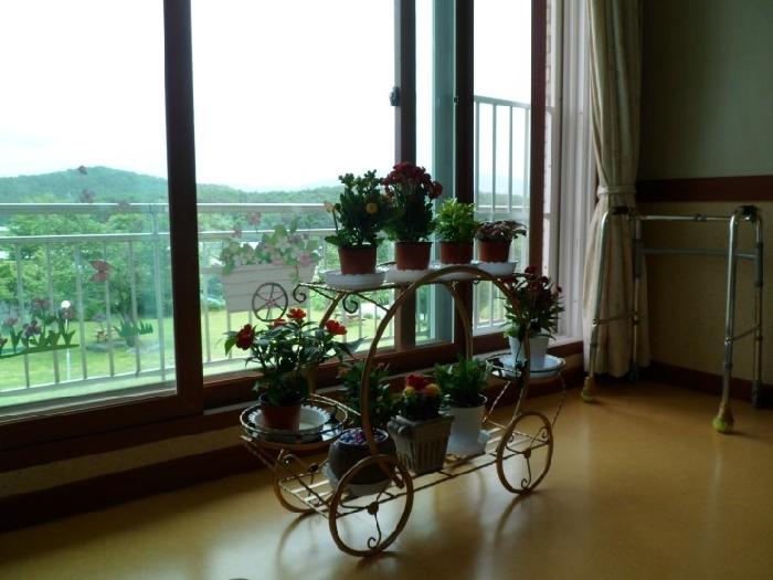 선혜원 이미지 6