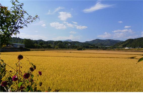 문경실버홈 이미지 12