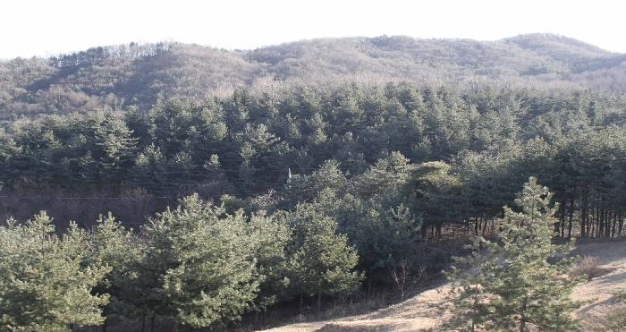 행복한노인요양원 이미지 4