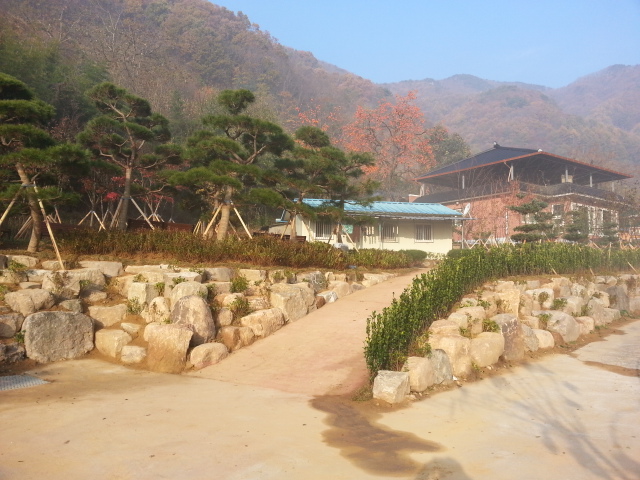 상주보림원 이미지 22