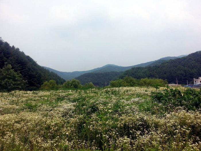 웰케어노인요양원 이미지 2