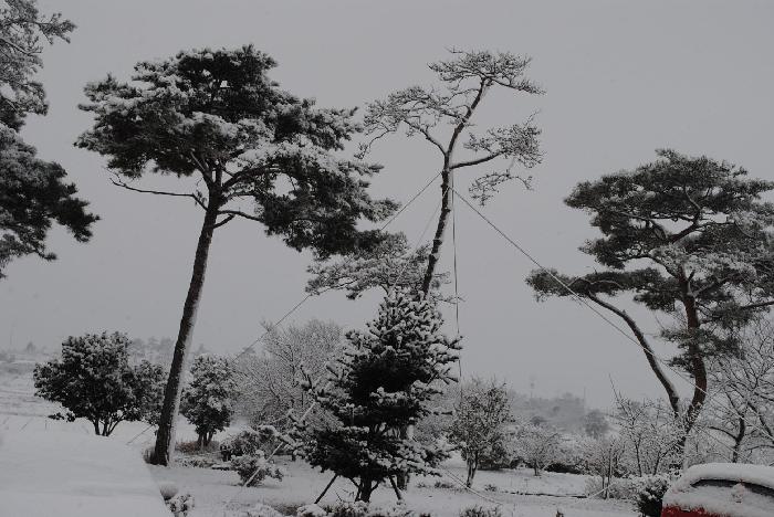 영암노인전문요양원 이미지 13