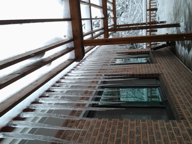 한마음요양원 이미지 19