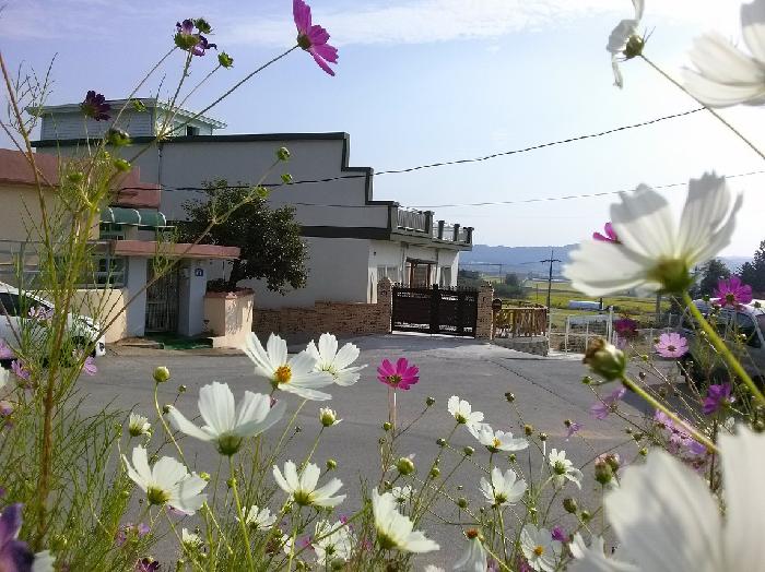 시니어스 너싱홈 이미지 2