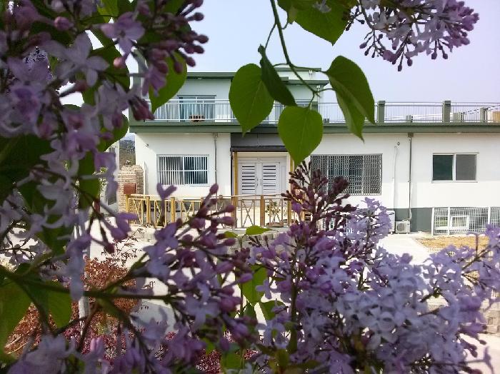 시니어스 너싱홈