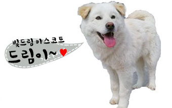 빛드림요양원 이미지 9