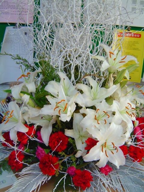 사마리타군산요양원 이미지 8