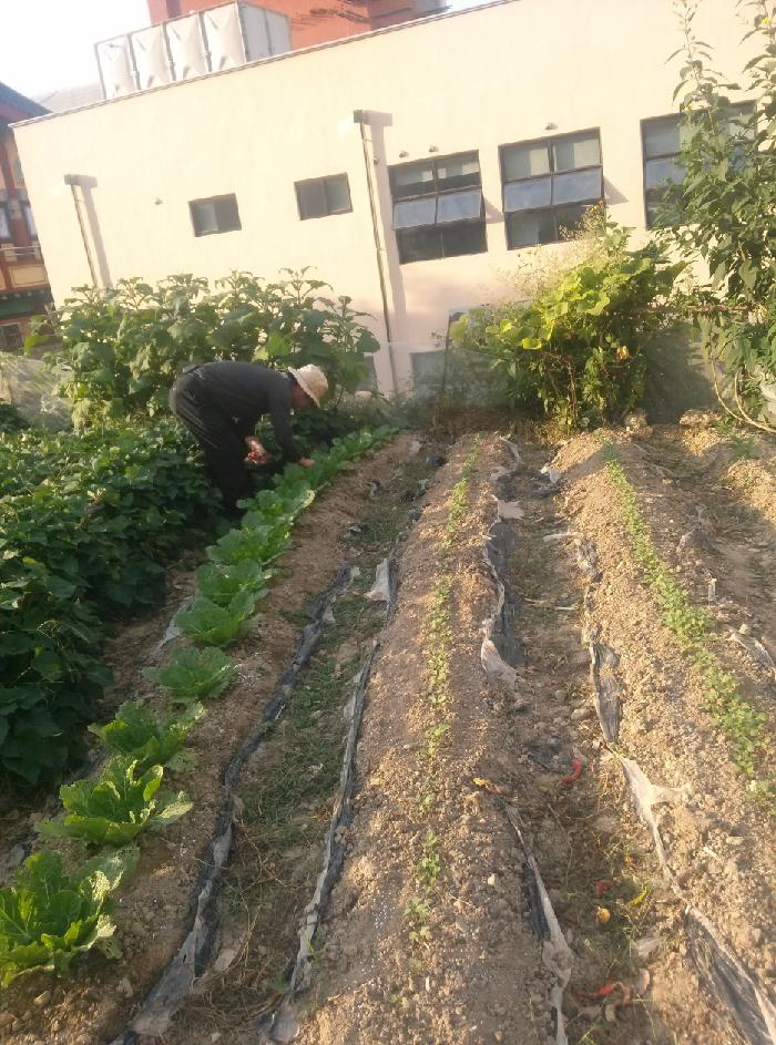 다사랑요양원 이미지 16