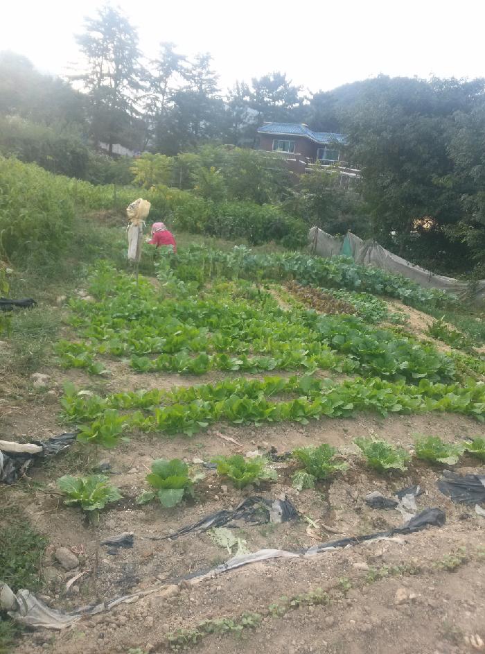 다사랑요양원 이미지 15