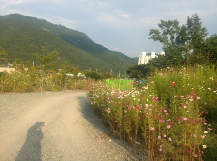 다사랑요양원 이미지 6