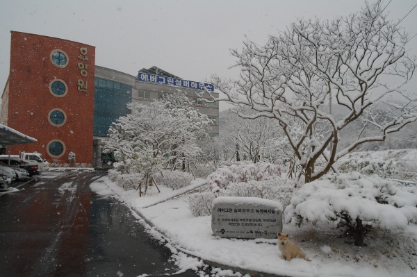 에버그린실버하우스 이미지 22