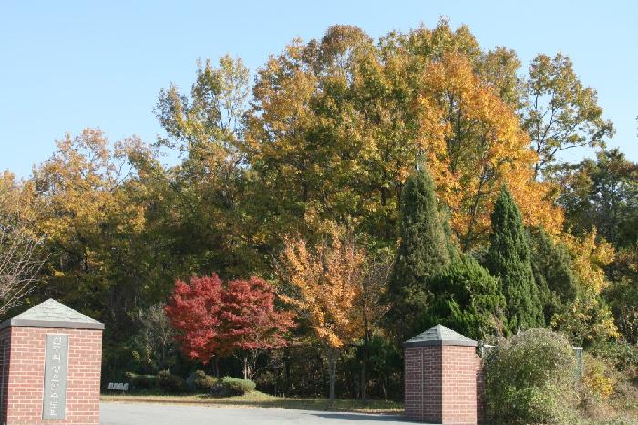 메니노인전문요양원 이미지 4