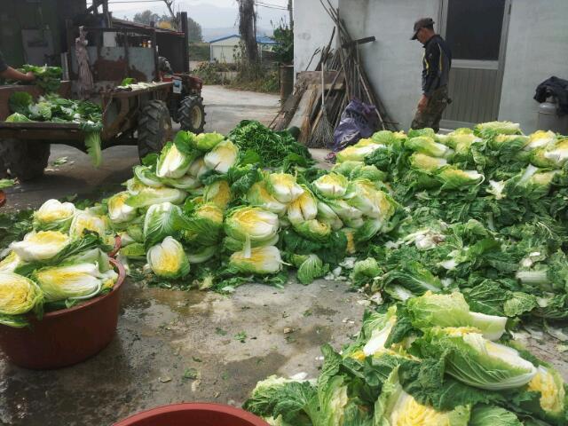 사랑요양원 이미지 10