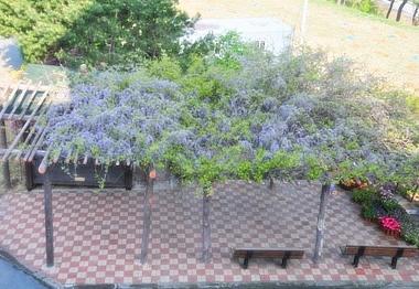 상애노인전문요양원 이미지 4