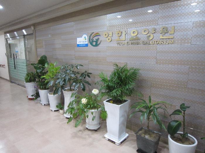 정진의료재단 영화요양원