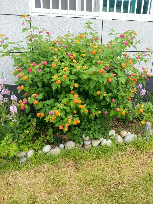 영남실버케어 이미지 30