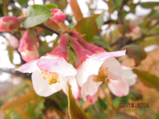 사마리타군산요양원 이미지 7