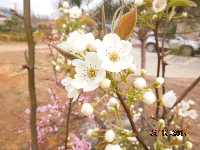 사마리타군산요양원 이미지 17