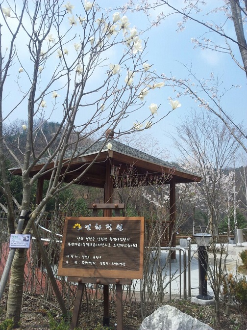 연화마을 이미지 33