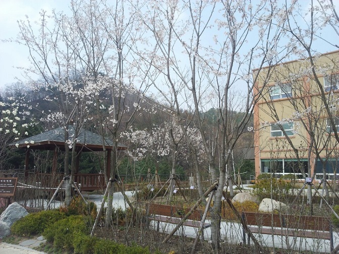 연화마을 이미지 32