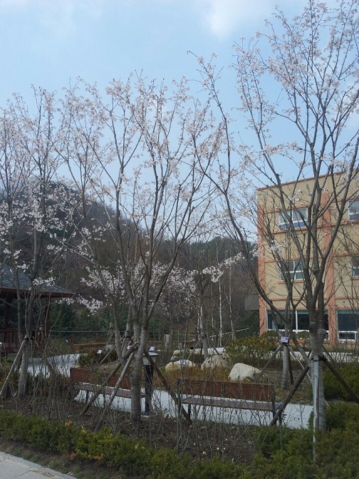 연화마을 이미지 31