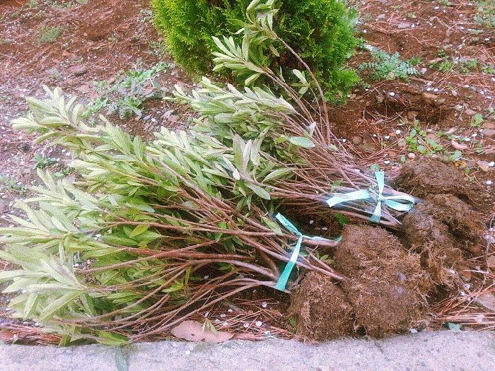 남해창선노인전문요양원 이미지 13