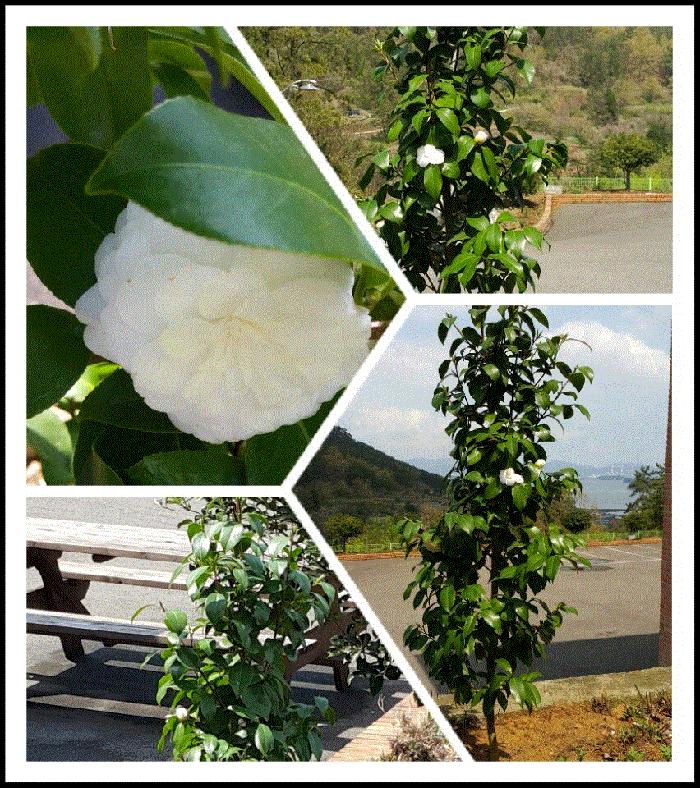 남해창선노인전문요양원 이미지 12