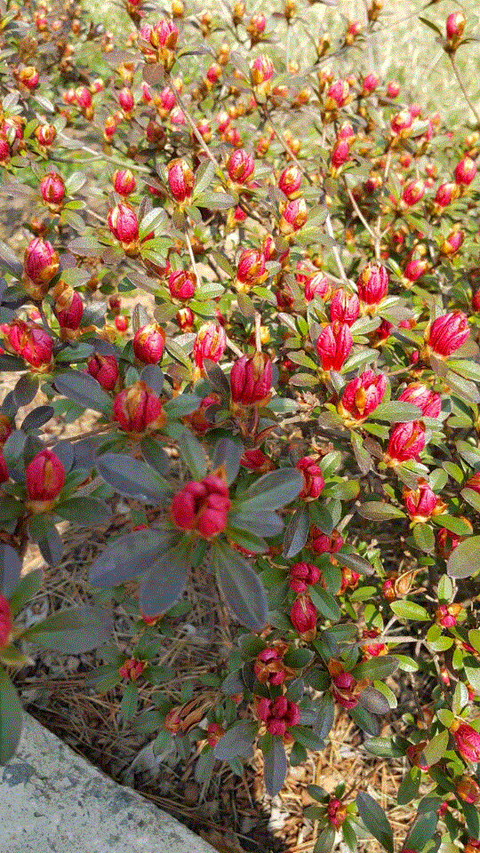 남해창선노인전문요양원 이미지 11