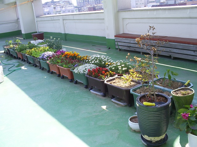 요안나요양원 이미지 8