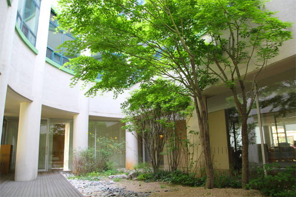 사랑드림 이미지 3