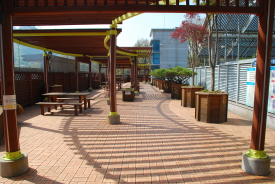 붓다마을 이미지 11