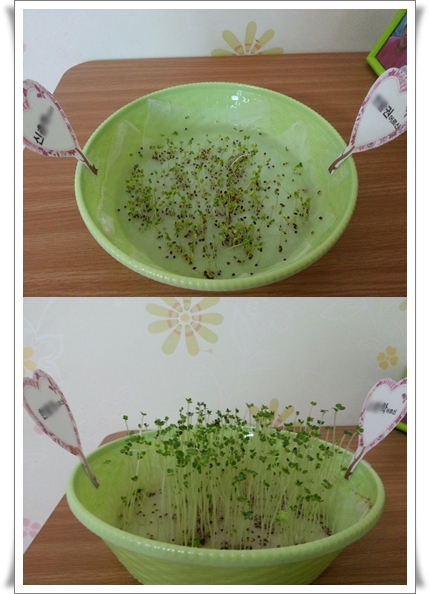 선재노인전문요양원 이미지 12