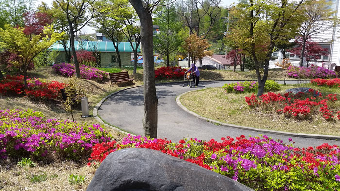 플래티늄 이미지 39