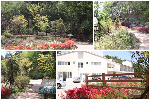 마산시니어카운티