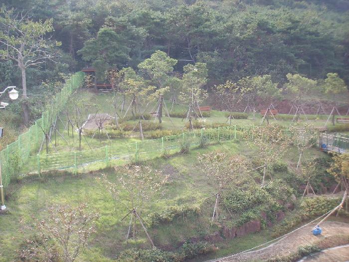 에덴실버타운 이미지 12