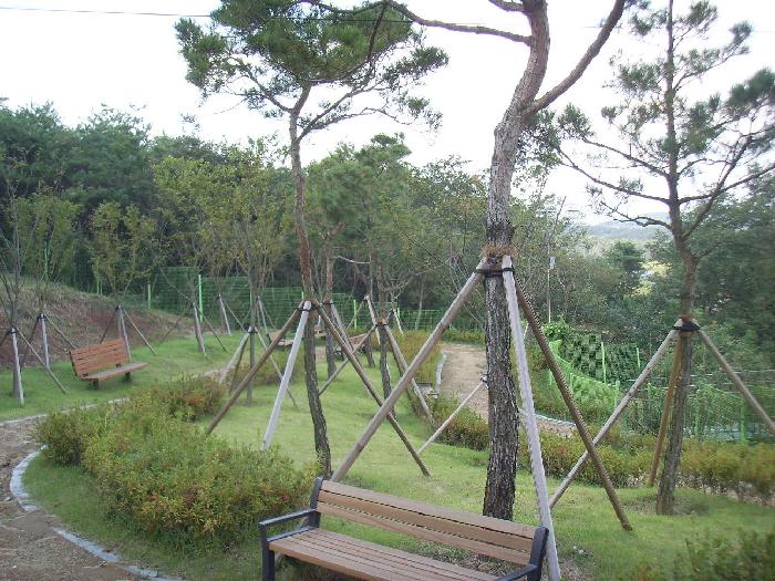 에덴실버타운 이미지 9