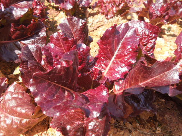 사마리타군산요양원 이미지 6