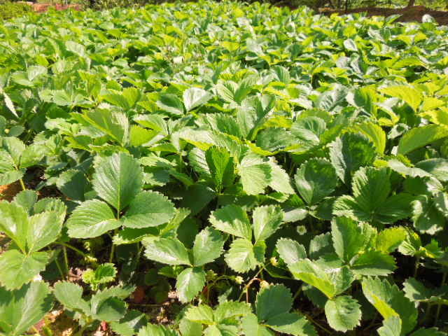 사마리타군산요양원 이미지 5