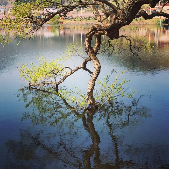 서린요양원 이미지 10